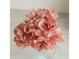   AXnChWA #18 CC MV RRA[u