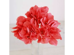   AXnChWA #28 BRT RD uCgbh