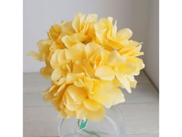   AXnChWA #104 HONEY nj[CG[