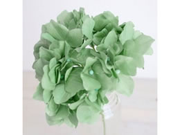   AXnChWA #224 FOREST tHXgO[