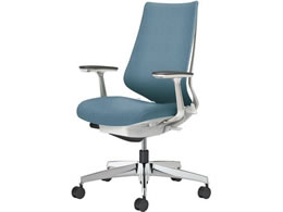 RN `FA fI2 A~r NbV eBRu[