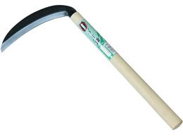 �󍁍H�� ���� 180�S�| #156330