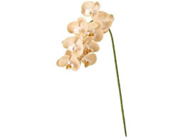   ~jkt@m #13 PE BE s[`x[W