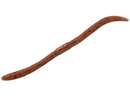 WbJ tbNVFCNTCg}WbN3.8 #Gr~\bht[N