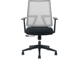 SEKI �V���b�g�`�F�A �I�t �O���[ 419645