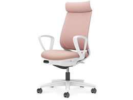 RN ~g2 bV AfBViT[NI r{̔AbVsN