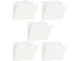 vX PPʃtH_[+A4E zCg FL-161IF 5 86-810