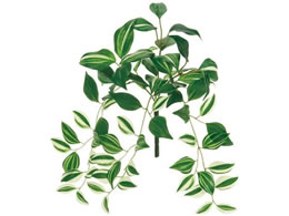   ReCO gfBXJeBAoC WH GR