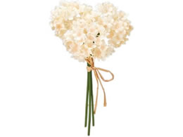   JXm[{[sbN 3{ #6 CR PE