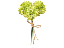   JXm[{[sbN 3{ #24 GREEN