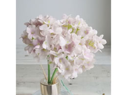   JXm[{[sbN 3{ #42 LTMV