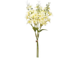   }[CbNsbN 3{ #4 YELLOW