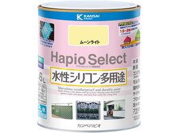 JynsI nsIZNg [Cg 1.6L