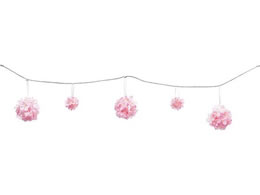 YDM  120cm||TNK[h sN