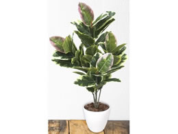 TTK lHϗtA AeV} MTCY 110