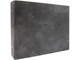 ns reco tZbg Cp SAKE04