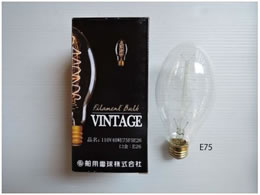 d re[Wv 160mm 110V40WE75F5E26