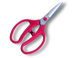 �A���X�R�[�|���[�V���� �����t�����o�� FL-18-BP