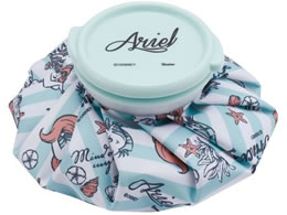 XP[^[ ACXobO S AG  ICB1