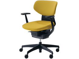 �R�N�� �C���O �N�b�V�����E���e���� �u���b�N�V�F�� �����r �I���[�u�C�G���[W