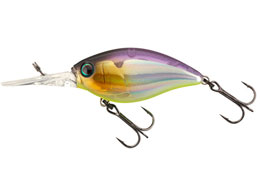 �W���b�J�� �u���b�N���b�p�[48SR #�o�o�^�N���Ń��[�U�[