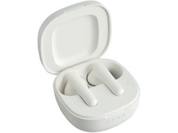 �����d�� �W���� �C�����X�`���[�W �C���z���^���� AS-E002