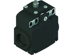 Pizzato/~bgXCb` FX^Cv5