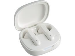 �����d�� �W���� �C�����X�`���[�W �C���z���^���� AS-E003