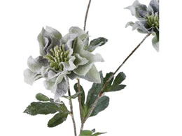 YDM  t[Y_uANX}X[Y _[NG