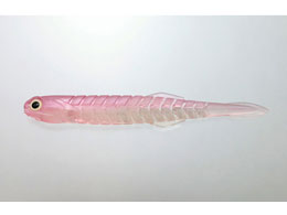 issei CY J^N`[Zbgdl 10g#2^0+4.5