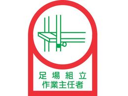 wbgpXebJ[ gƎC 10g ItB