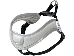 XP[^[ ₷n[lX M ^x[VbN PTHV31