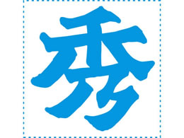 V`n^ \ p30 G XTS-3030-1