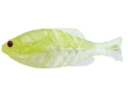 issei MtbgJr. #58 i``[g