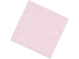 �A�[�e�b�N ���� �j���[�l�G���� 4�� 100�� NS-K24 ����s���N