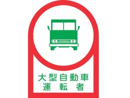 wbgpXebJ[ ^ԉ^] 10g ItB