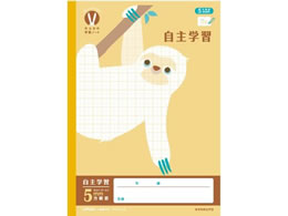 LNgE JbW݂Ȃ̊wK wK 5mmR 30