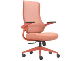 Netforce I[fUC`FA ItBX`FA IW ARD-1-FW-OR