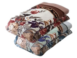 �t�@�~���[�E���C�t �|�z�c�J�o�[�ɂȂ�2�����킹�ѕz 2�F�g a35480