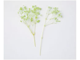 YDM vU[uht[ JX~ pbN O[