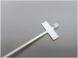 phECbg ^^CviCoh R (1000{) PLM1M-M69