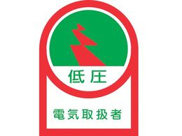 wbgpXebJ[ ሳdC戵 10g ItB