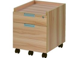 TRUSCO 2iS W420~D500~H520mm TCA2-NA