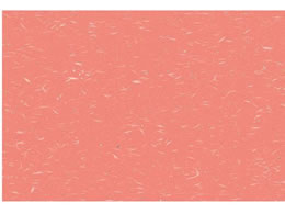 A[ebN ڎO}bg  100 KT-8  0561470