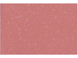 A[ebN ڎO}bg  100 KT-9  0561480