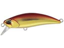 fI TW gg48HS #ASA0026 AJL