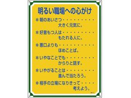 SESW 邢Eւ̐S Ǘ117 Gr