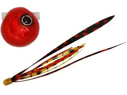 WbJ  rr XCh 100g #F179