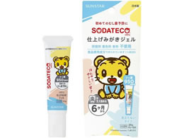 TX^[ \_eR dグ݂WF 25g