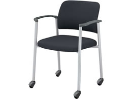 RN cpCX100 z It \tgLX^[ Vo[r O[